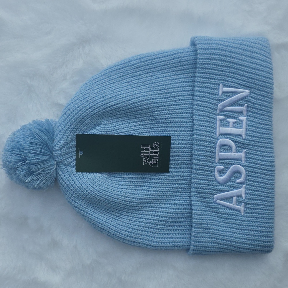 Blue Adult Pom-Pom Beanie Embroidered Aspen Winter Hat Wild Fable